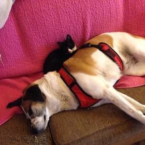 Meet your Posher, Deanna